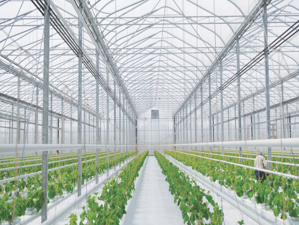  World’s Leading Water From Air Technology Company RussKap Water Enters Agricultural Sector with Acquisition of Envonics 