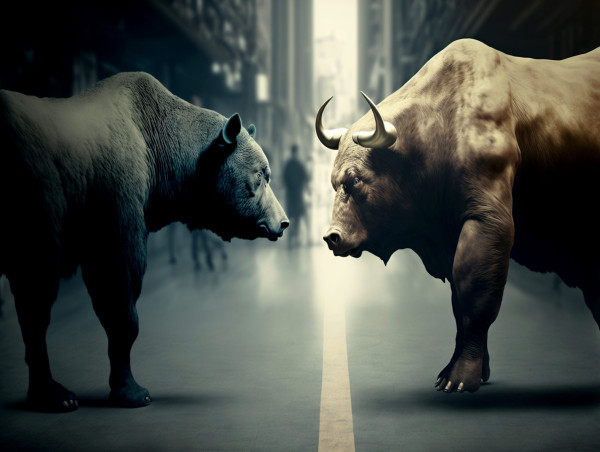 Bullish investors see opportunity in Shiba Memu as crowd bets against markets