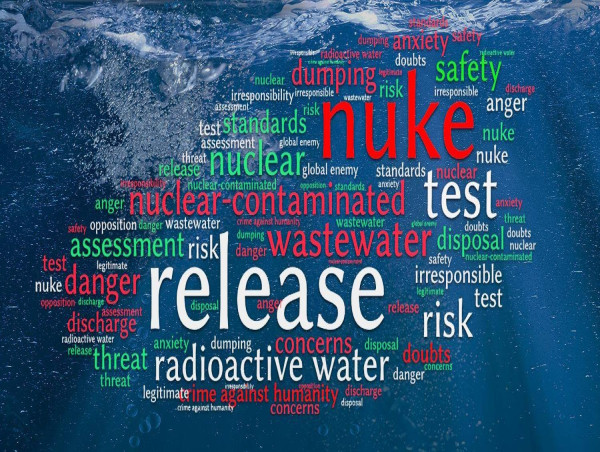  The Power of Words: Perspectives on the Fukushima Daiichi Water Release Plan 
