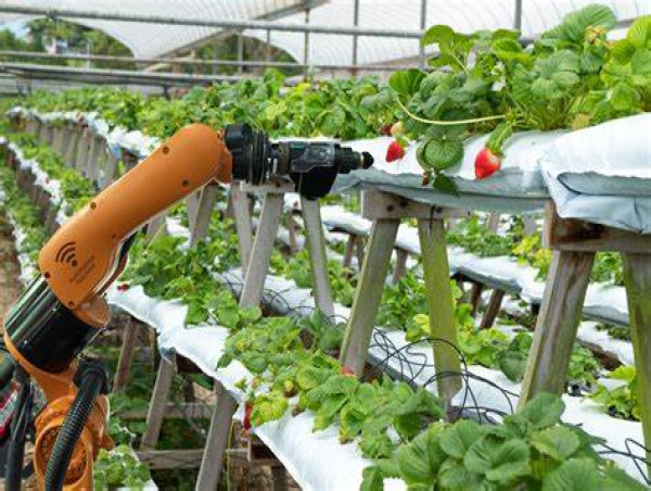 Smart Agriculture Tools Market Rapidly Gaining Traction in Key Business Segments: AgJunction, DeLaval, CropMetrics