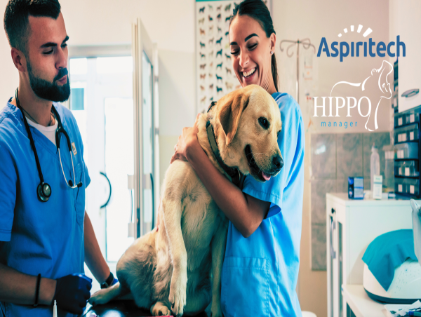 Agile Innovation and Precise Testing: The Dynamic Duo Behind Hippo Manager Software's Rapid Development Cycle