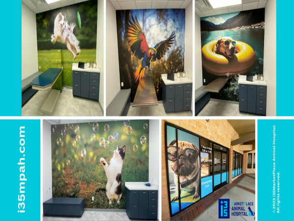 i35 MARKETPLACE ANIMAL HOSPITAL OPENS STATE-OF-THE-ART ANIMAL HOSPITAL FOR PET PARENTS-NEW BRAUNFELS, TX