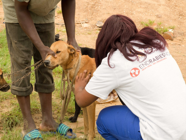  First community health workers for dogs to be trained as part of new initiative to eliminate rabies 