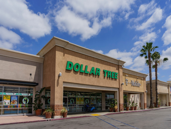  Dollar Tree stock slides 11% despite better-than-expected Q2 results 