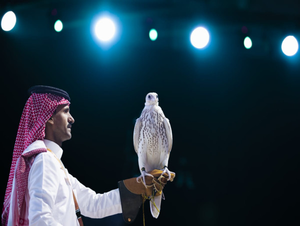 Amerikanischer Falke für € 135,000 verkauft, der teuerste auf der Internationalen Falkenzüchter-Auktion in Saudi-Arabien