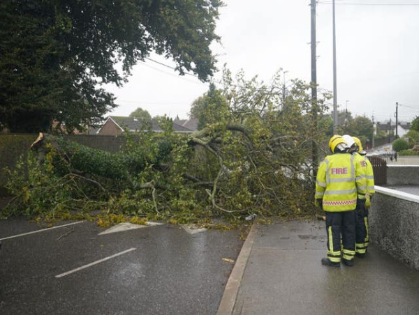  Storm Agnes causes damage to buildings, floods and blocked roads across Ireland 