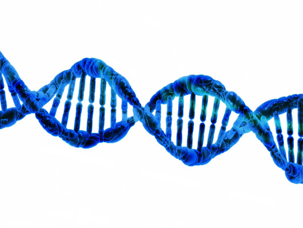  Human Genome Project Will Include Underrepresented Populations around the World in the Original Map of Human DNA 