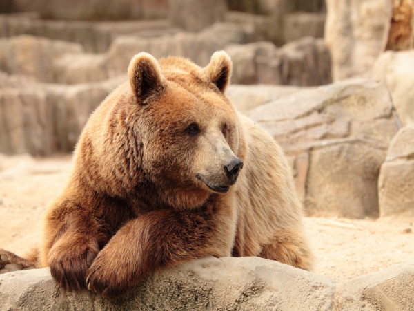  Crypto and Web3 Venture Funding dwindle amidst prolonged bear markets 