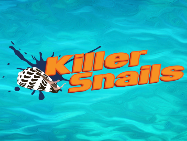  Killer Snails Awarded Patent for Extended Reality Learning Platform 