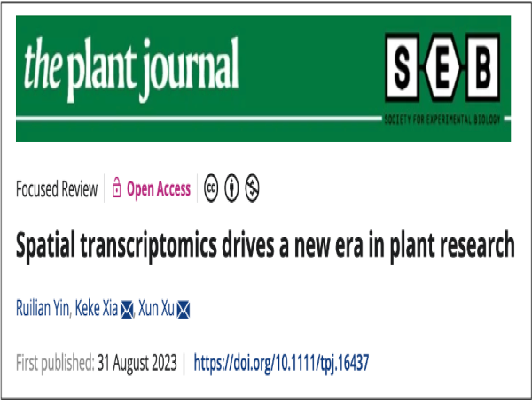BGI Lidera una Nueva Era en la Investigación de Plantas con la Tecnología de Transcriptómica Espacial