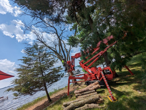 Environmental Advantage & Tree Leads Today Forge Game-Changing Partnership, Fueling Remarkable Growth