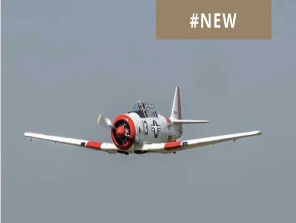 NEWLY RESTORED T-6D OFFERED IN EXCELLENT CONDITION
