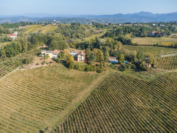  Italian Estate with Vineyard and Breathtaking Views Going to Auction 