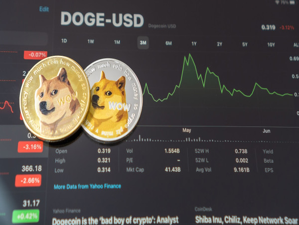  Missed the Dogecoin surge? BorroeFinance could be your next investment opportunity! 