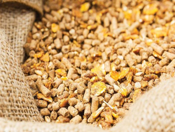 Animal Feed Enzymes Market : Size, Share, Demand, Trends, Growth and Opportunities By 2032