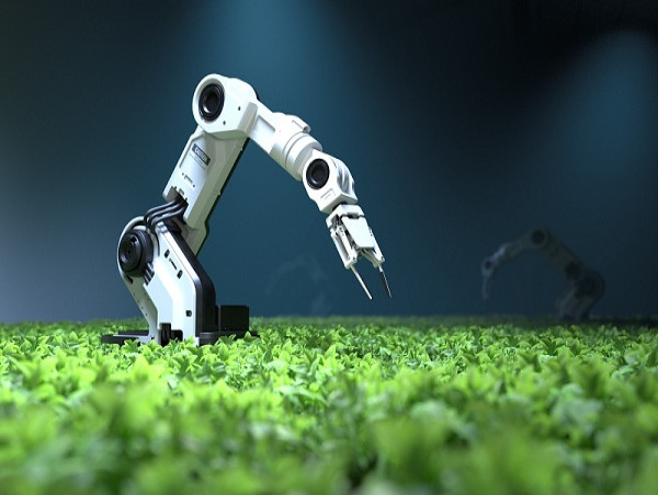  Fetch.ai (FET) token up 35% in a week, here’s why 