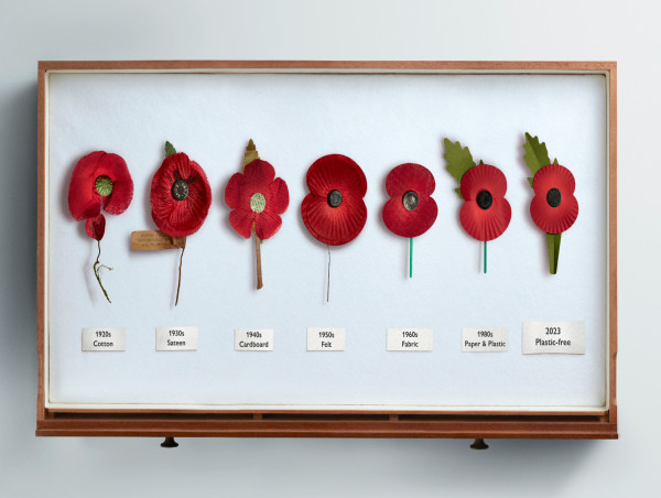  Remembrance poppies to be plastic free this year in major redesign 