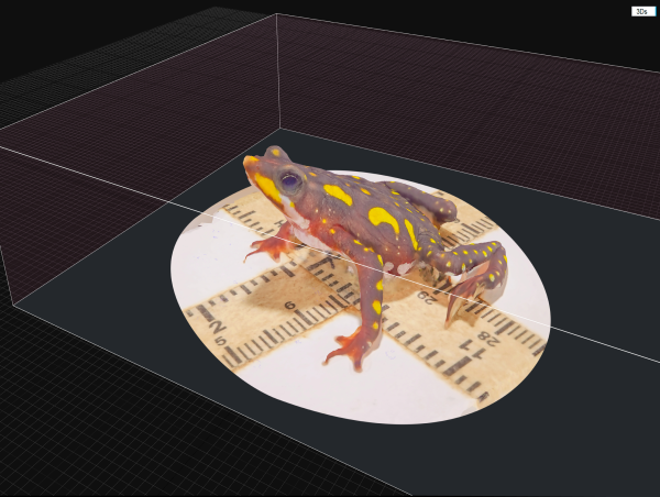  Wildlife Education and Research Are Forever Changed Thanks to Revolutionary 3D Scanning System 