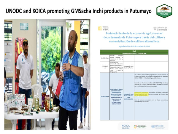  GMSacha Inchi $QEDN signed agreement with Coomultiagro managed by UNODC and funded by KOICA and Nestle updates 