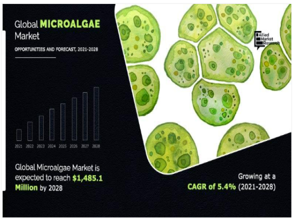  Microalgae Market is Anticipated to Increase at a CAGR of 5.4% by 2028 | BIOPROCESS ALGAE LLC, ROYAL DSM OCEAN NUTRITION 