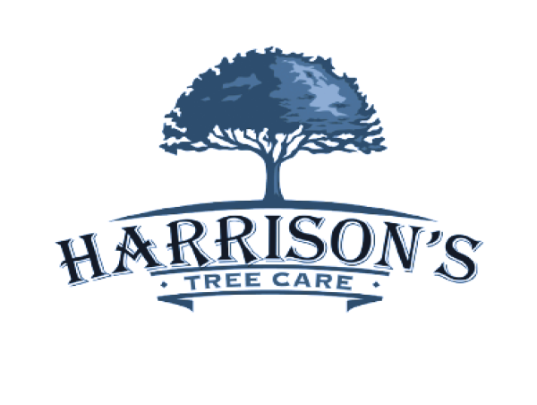  Harrison's Tree Care Partners with Tree Leads Today to Transform Tree Service Business 