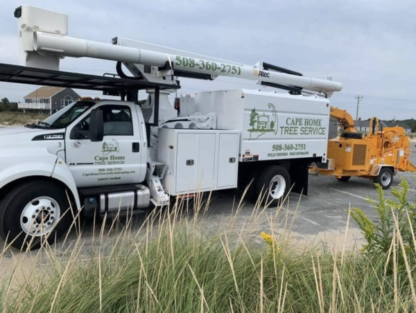  Tree Care Marketing Revolution: Cape Home Tree Service's Success Story 