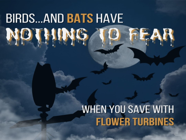  10/10 Bats Surveyed Prefer These Wind Turbines for Halloween 
