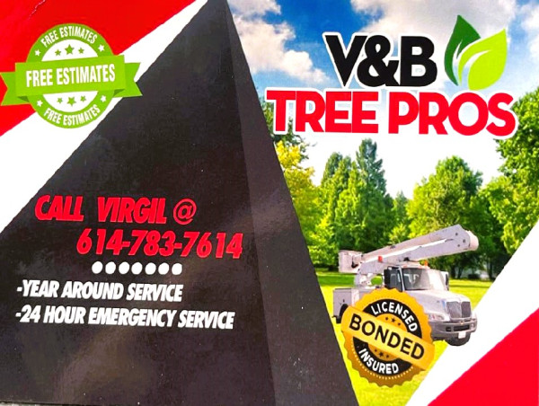  Tree Care Marketing Success: V&B Tree Pros Grows by 60% with Strategic Alliance 