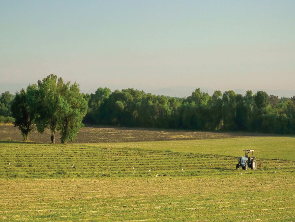 Certified Origins Expands Its Brand Portfolio with the Acquisition of the Seggiano Group
