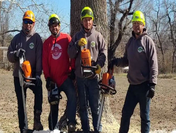 Tailored Lawn and Tree Services: Reshaping the Oklahoma City Landscape While Respecting Nature