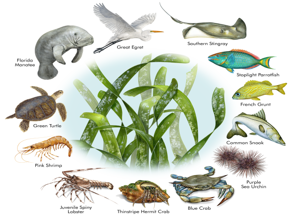  Award Winning Children's Author Camille Klump Has Just Released a New Kid Tested Environmental Book 