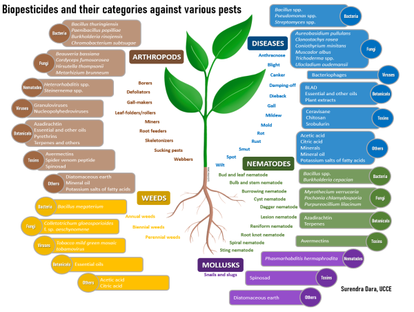 Biopesticides Market Key Insights on $33.6 Billion, CAGR 13.9% | Brazil is anticipated to grow at a CAGR of 15.4%