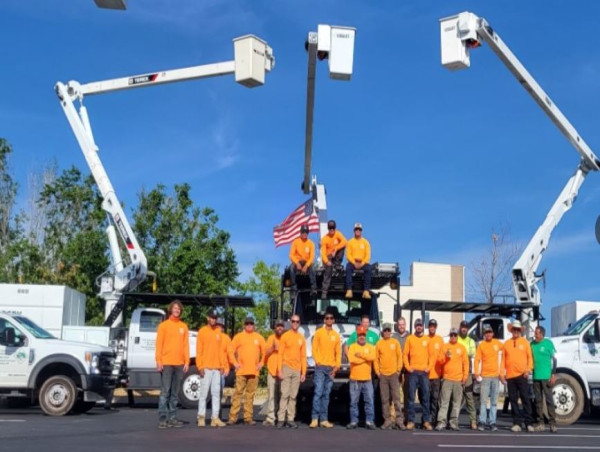  Bear Creek Tree Service's 50% Growth Fuels Tree Care Marketing Success 