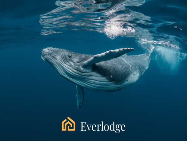  Crypto whales top bull market picks – Dogecoin, Ethereum and Everlodge 