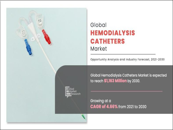  Hemodialysis Catheters Market: Rapid Growth Fueled by Increasing Cases of Kidney Disease 