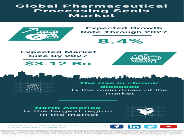 Enabling Efficiency: Understanding the Global Pharmaceutical Processing Seals Market