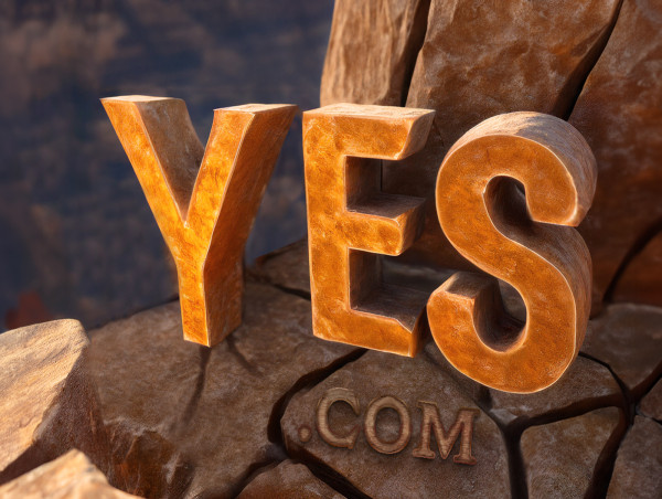 Digital goldmine: Yes.com turns out to be a domain treasure worth several million US dollars