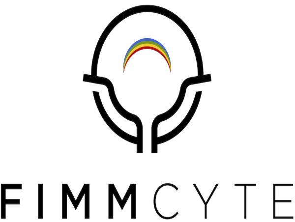  FimmCyte Appoints Dr. Markus Kalousek as Chairperson of the Board of Directors 