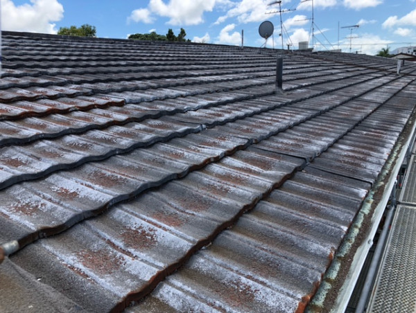  Transforming Homes: The Art of Roof Painting in New Zealand 