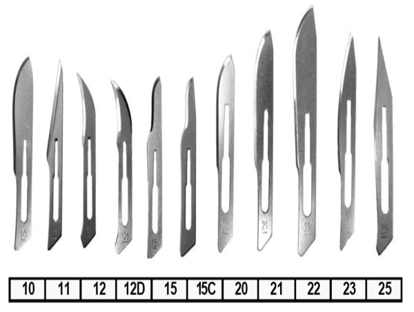  Surgical Blades Market Worldwide With Impressive Sales Trends By 2030 | Pl medical co., Surgical Specialties Corporation 