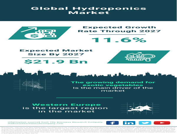  Hydroponics Market Size, Share, Revenue, Trends And Drivers For 2023-2032 
