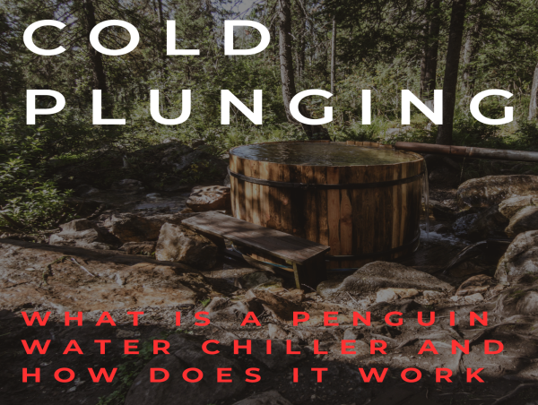  How a penguin water chiller works in cold plunge tubs 
