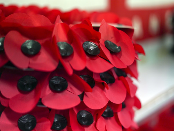  Two arrested after Rochdale Cenotaph daubed with ‘Free Palestine’ graffiti 