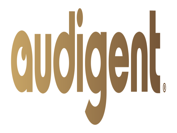  Audigent Makes Deloitte Technology Fast 500™ for Second Consecutive Year 