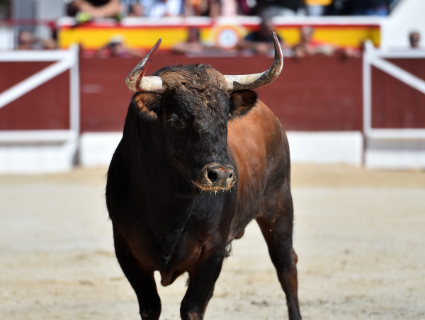 Amber Group accumulates Optimism worth $10M, boosting OP’s bullish trajectory