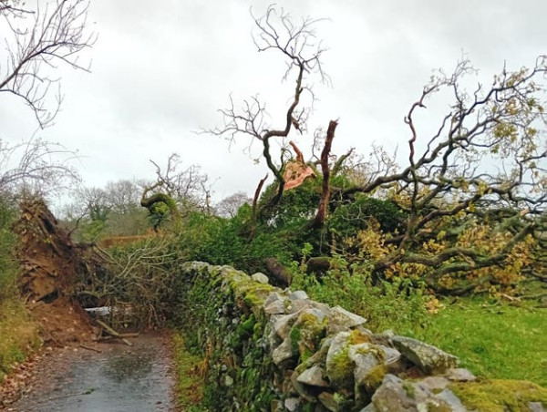  Gusts over 70mph recorded as Storm Debi blows in 