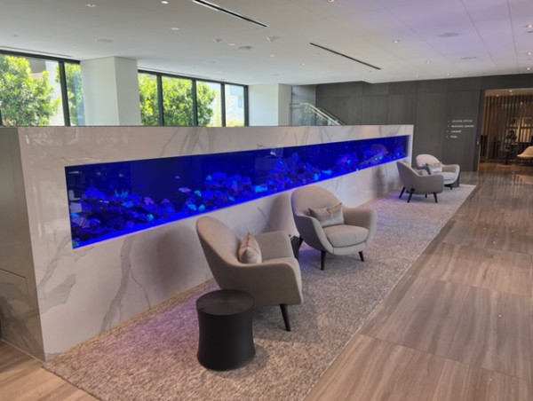  LA's longest custom reef aquarium in the tallest building west of the 405 