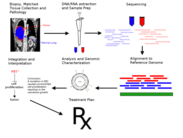  Navigating the Future through Innovations in the Cancer Genome Sequencing Market and Industry Forecast, 2023-2032 