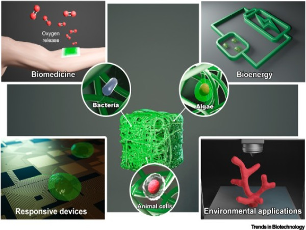  Biomimetic Materials Market Trend Marked Significant Growth in Industry | Global Analysis and Forecast to 2030 