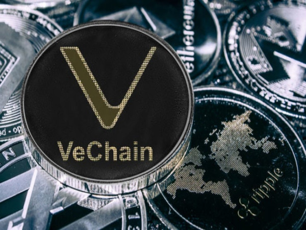  Solana-based Bonk rallies 200%, notable growth anticipated for Vechain (VET) & InQubeta (QUBE) 